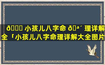 🕊 小孩儿八字命 🪴 理详解大全「小孩儿八字命理详解大全图片」
